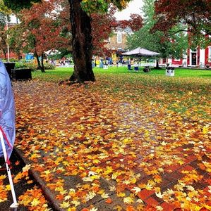 Meet your Posher, Joseph
